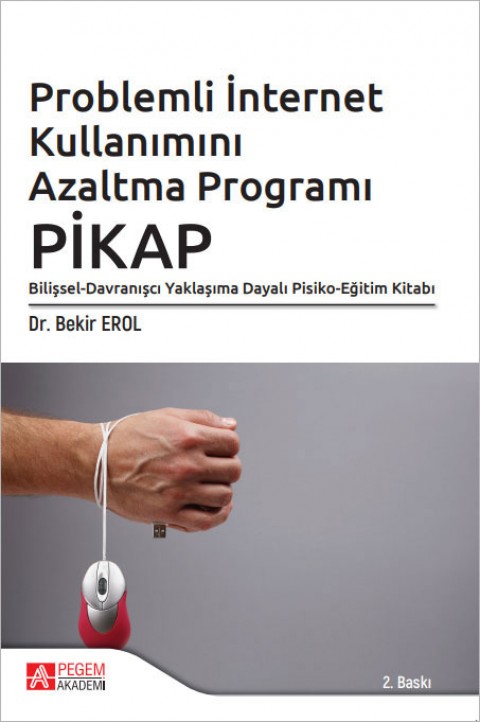 Problemli İnternet Kullanımını Azaltma Programı: PİKAP