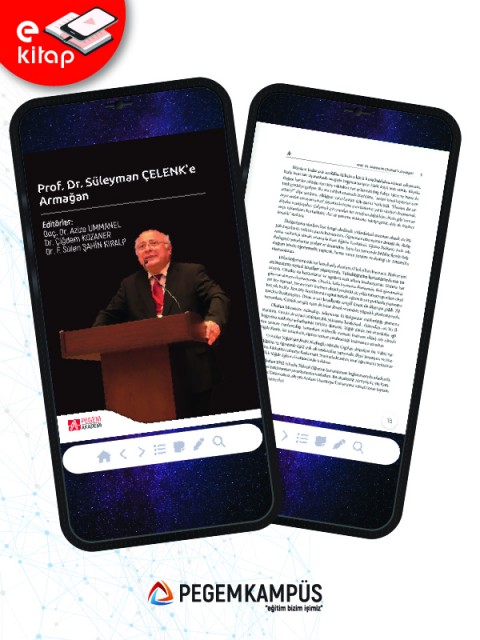 Prof. Dr. Süleyman Çelenk'e Armağan (e-kitap)