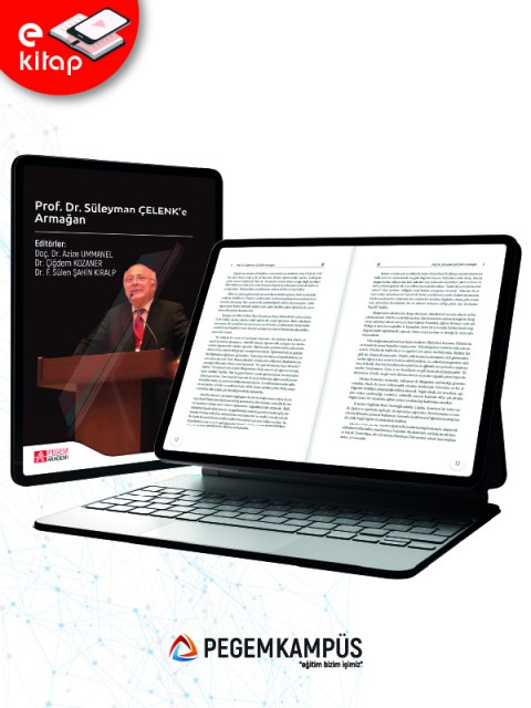 Prof. Dr. Süleyman Çelenk'e Armağan (e-kitap)