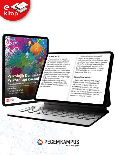 Psikolojik Danışma ve Psikoterapi Kuramları (e-kitap)