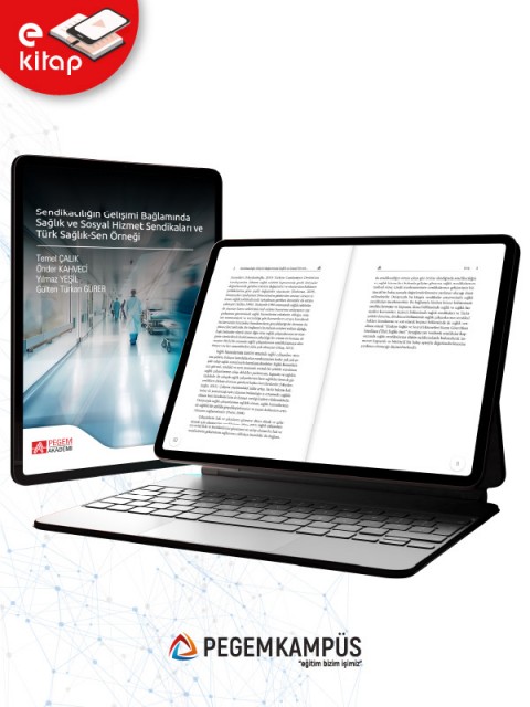 Sendikacılığın Gelişimi Bağlamında Sağlık ve Sosyal Hizmet Sendikaları ve Türk Sağlık-Sen Örneği (e-kitap)
