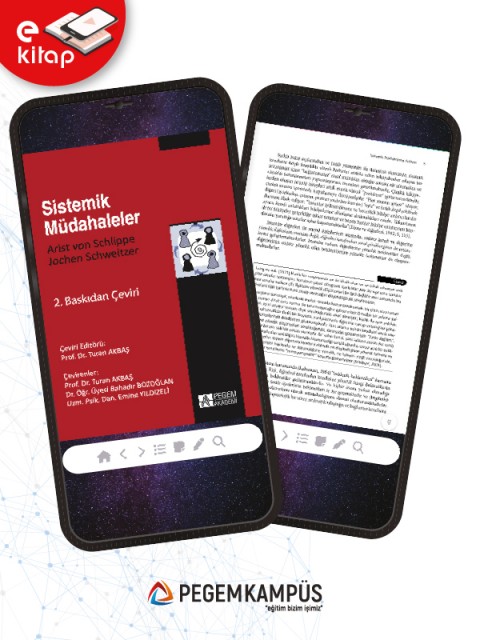 Sistemik Müdahaleler (e-kitap)