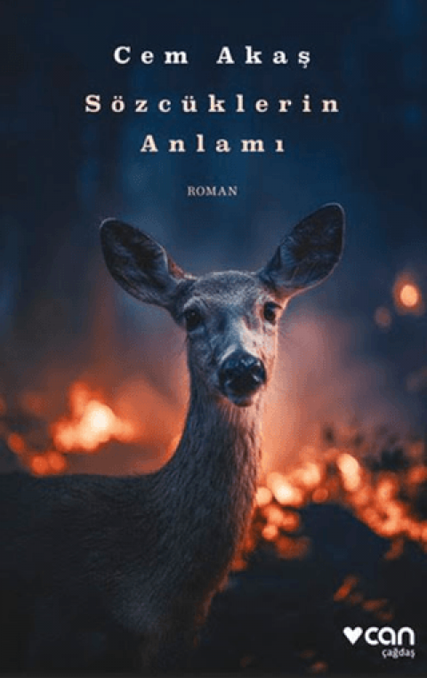 Sözcüklerin Anlamı