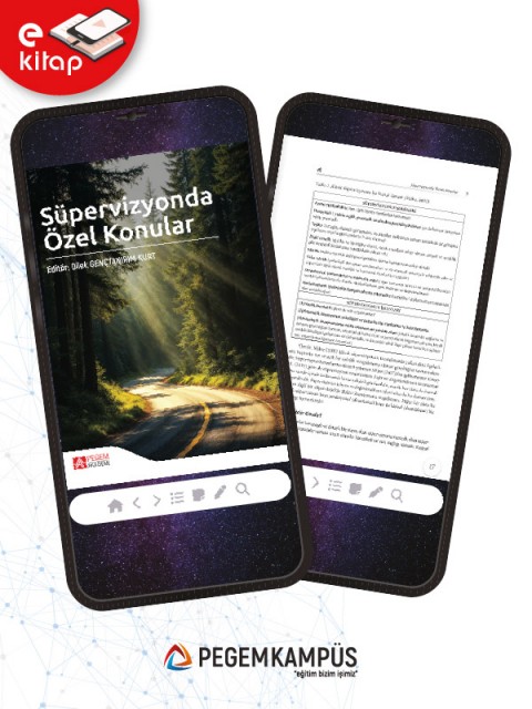 Süpervizyonda Özel Konular (e-kitap)