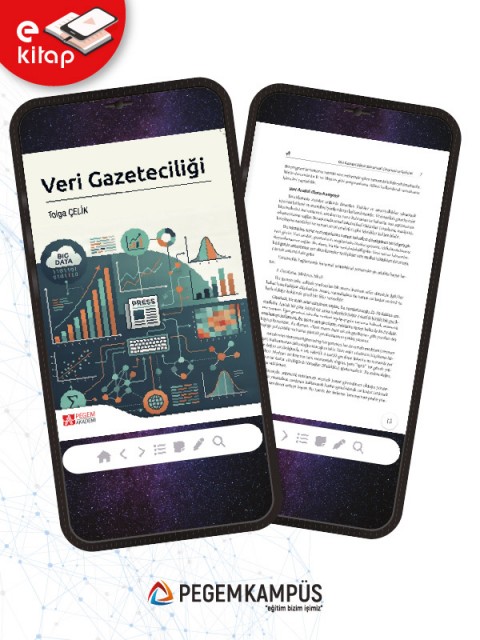 Veri Gazeteciliği (e-kitap)