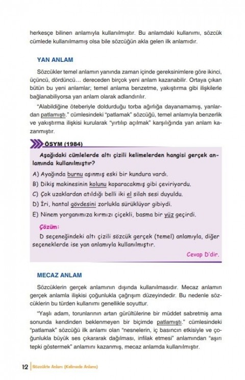 Yayın Denizi TYT Türkçe Pro Konu Anlatımı El Kitabı