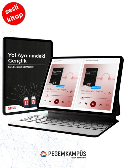 Yol Ayrımındaki Gençlik (sesli kitap)